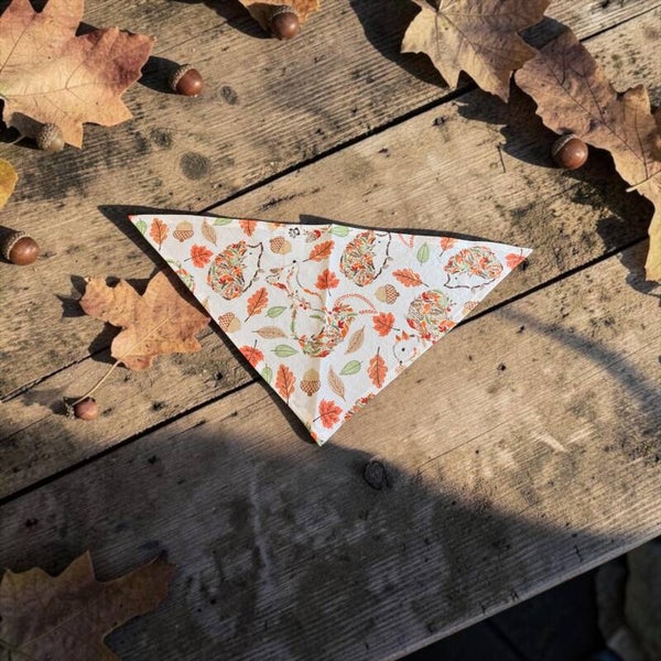 Dog & Cat Bandana - Fall 2