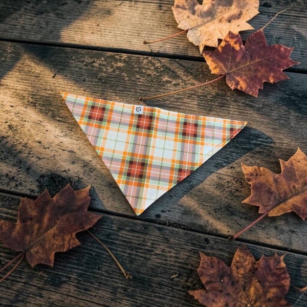 Dog & Cat Bandana - Fall Plaid