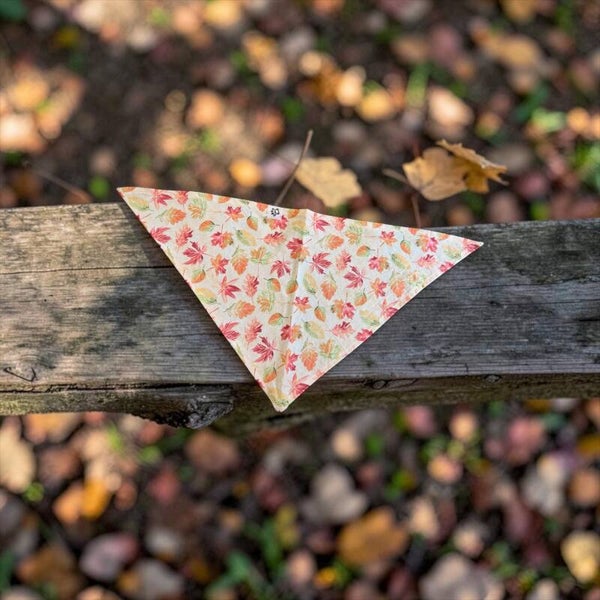Dog & Cat Bandana - Fall 3