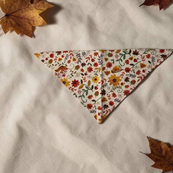 Dog & Cat Bandana - Fall 4