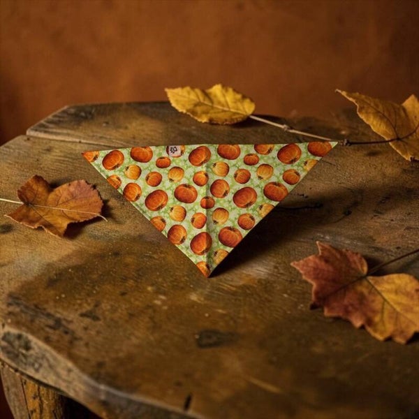 Dog & Cat Bandana - Fall Green with Pumpkins
