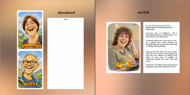 2-3-standard-oj8y7e.png