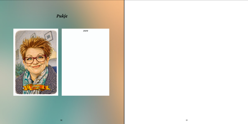 50-51-standard-zv95i1.png