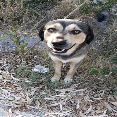 received_5373353869684221-1.jpeg