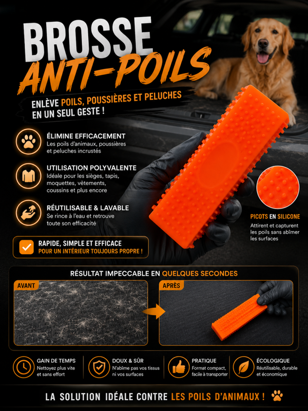 Brosse anti-poil