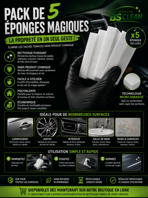 Pack de 5 éponge magique