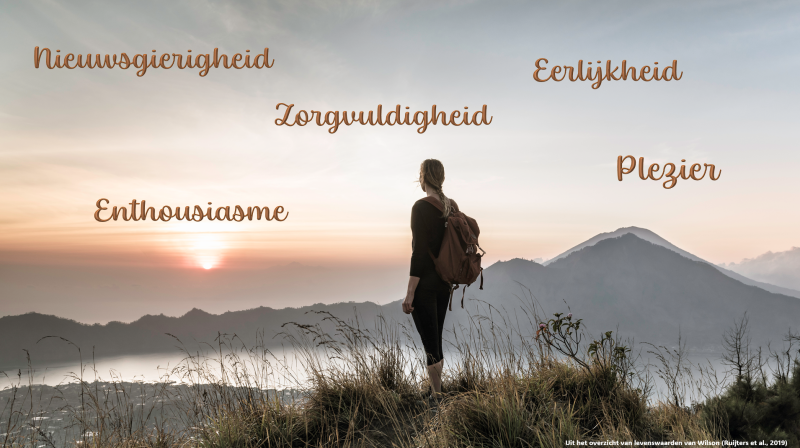 Mijn levenswaarden, gebaseerd op het overzicht van levenswaarden van Wilson (2008, in Ruijters et al., 2019), opgesteld tijdens project 1.1 van de MLI
