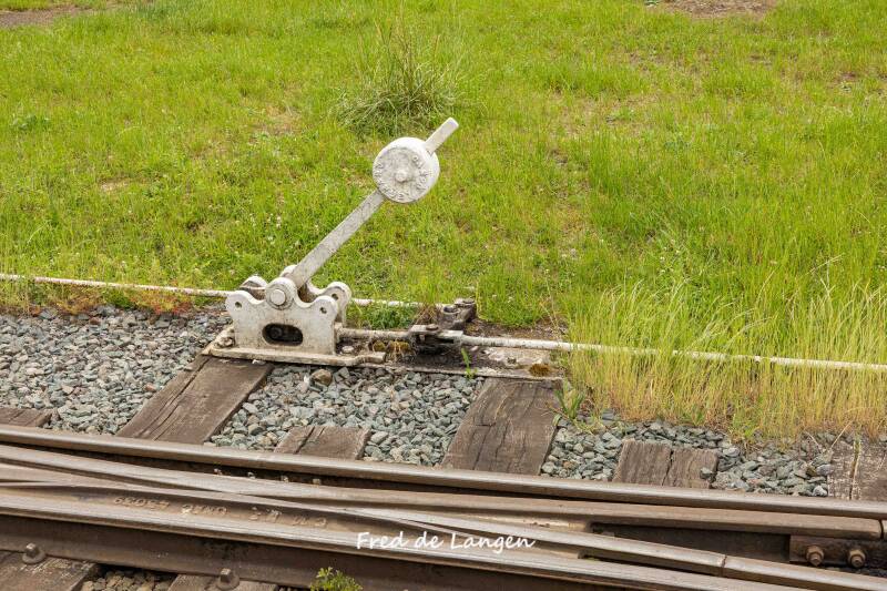 8m4a0007-standard.jpg