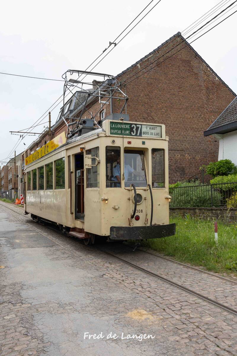 8m4a9930-standard.jpg