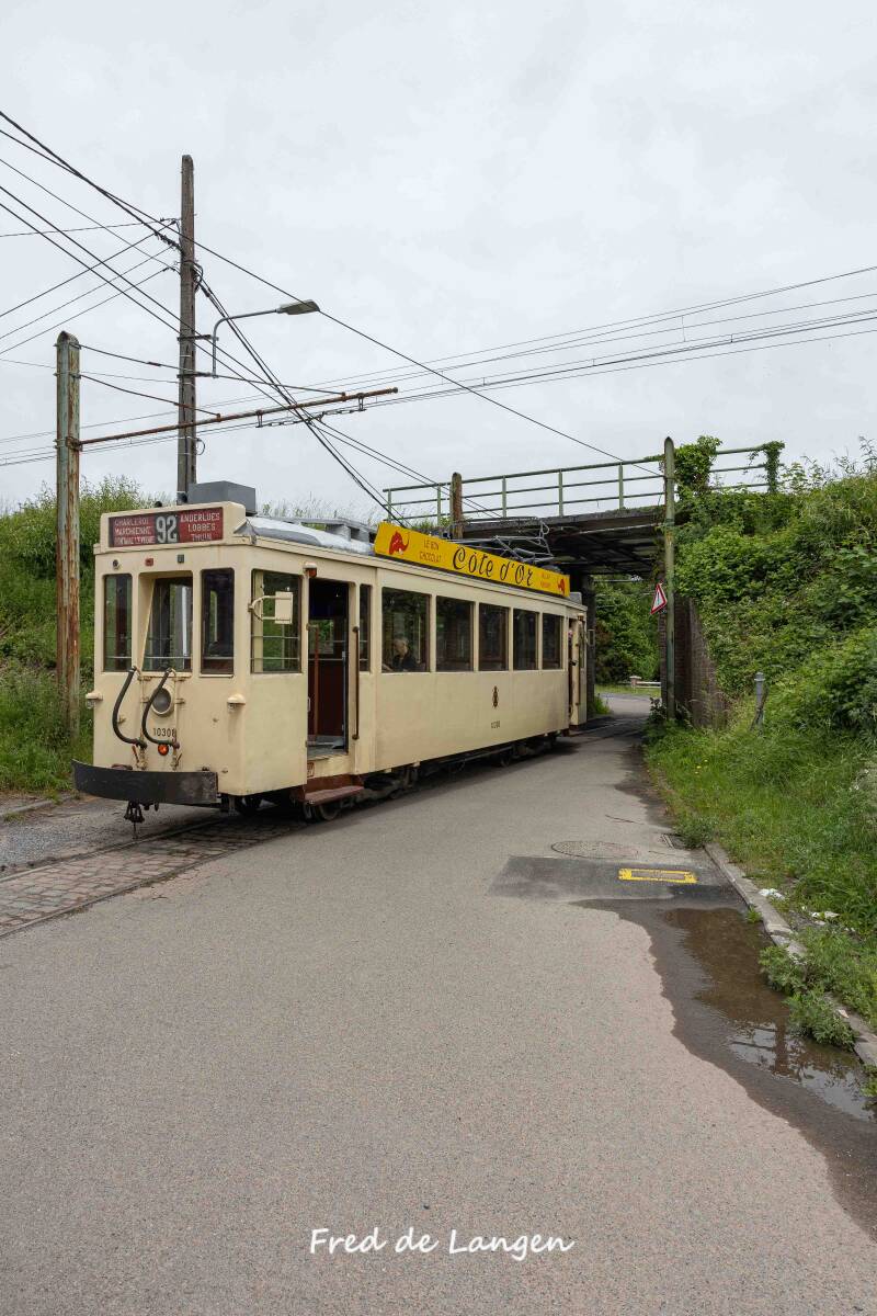 8m4a9934-standard.jpg