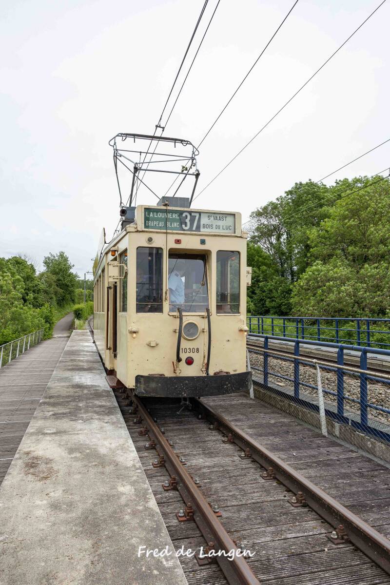 8m4a9947-standard.jpg