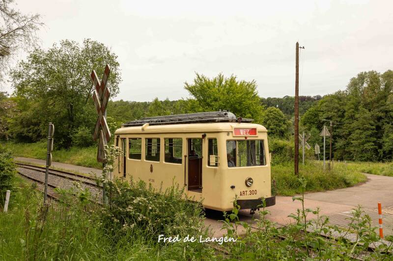 8m4a9979-standard.jpg