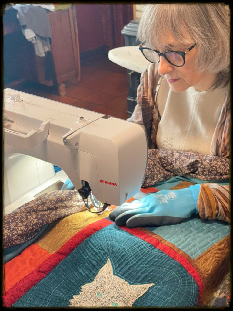 bernina free motion quilting