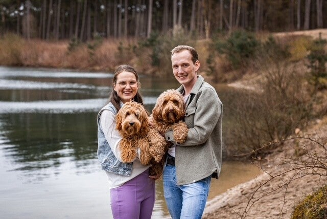 Fokker Australian doodles | Fokker Australian doodles Gelderland | Fokker Australian doodles Wezep | labradoodle Wezep | Medium labradoodle Wezep