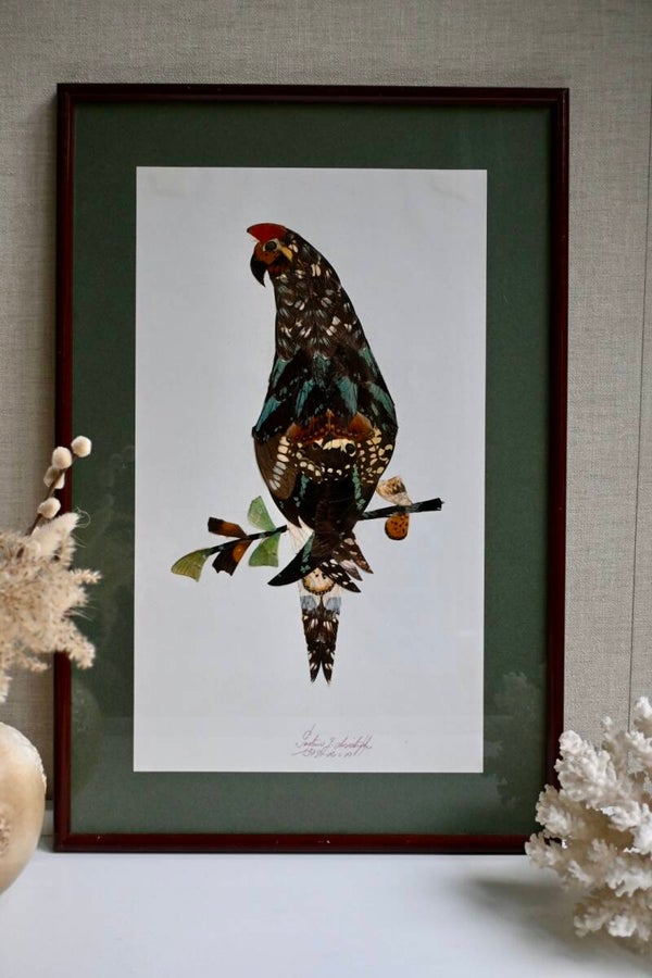 Lijst met vogel gemaakt van vlindervleugels