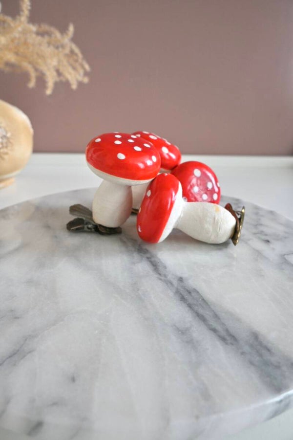 Vintage watten paddenstoelen op knijper