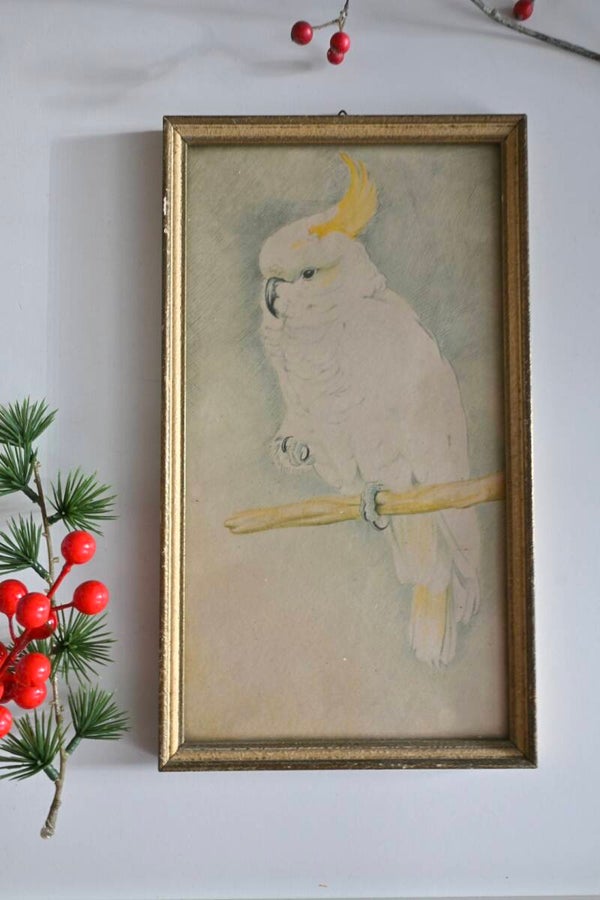 Lijst met vogel prent