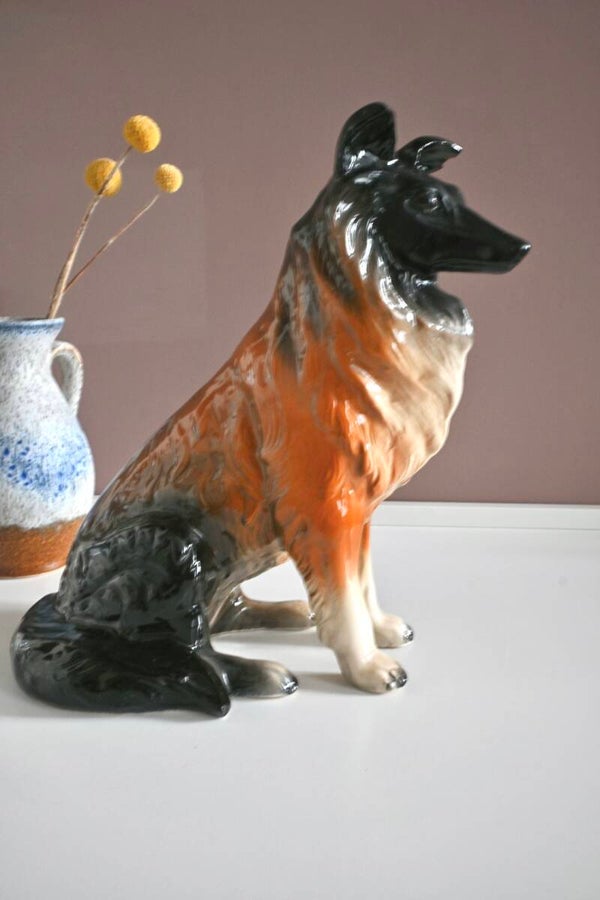 Jema Holland beeld van een Collie