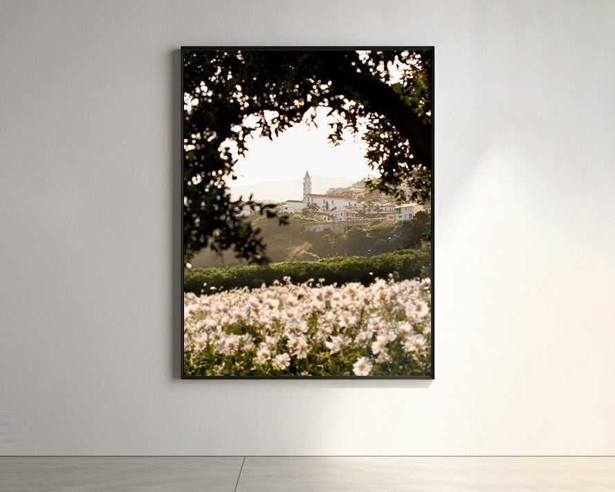 Madeira - Bloemen en kerk