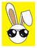 Design Bunny