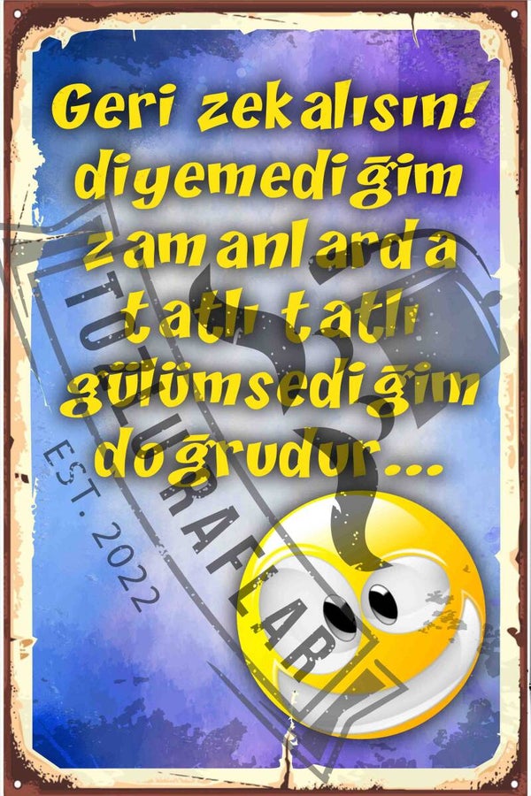 Geri zekalisin! diyemedigim zamanlarda tatli tatli gulumsedigim dogrudur...