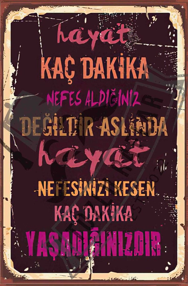 Hayat kac dakika nefes aldiginiz degildir aslinda hayat nefesinizi kesen kac dakika yasadiginizdir