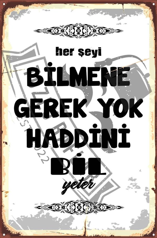 Herseyi bilmene gerek yok haddini bil yeter