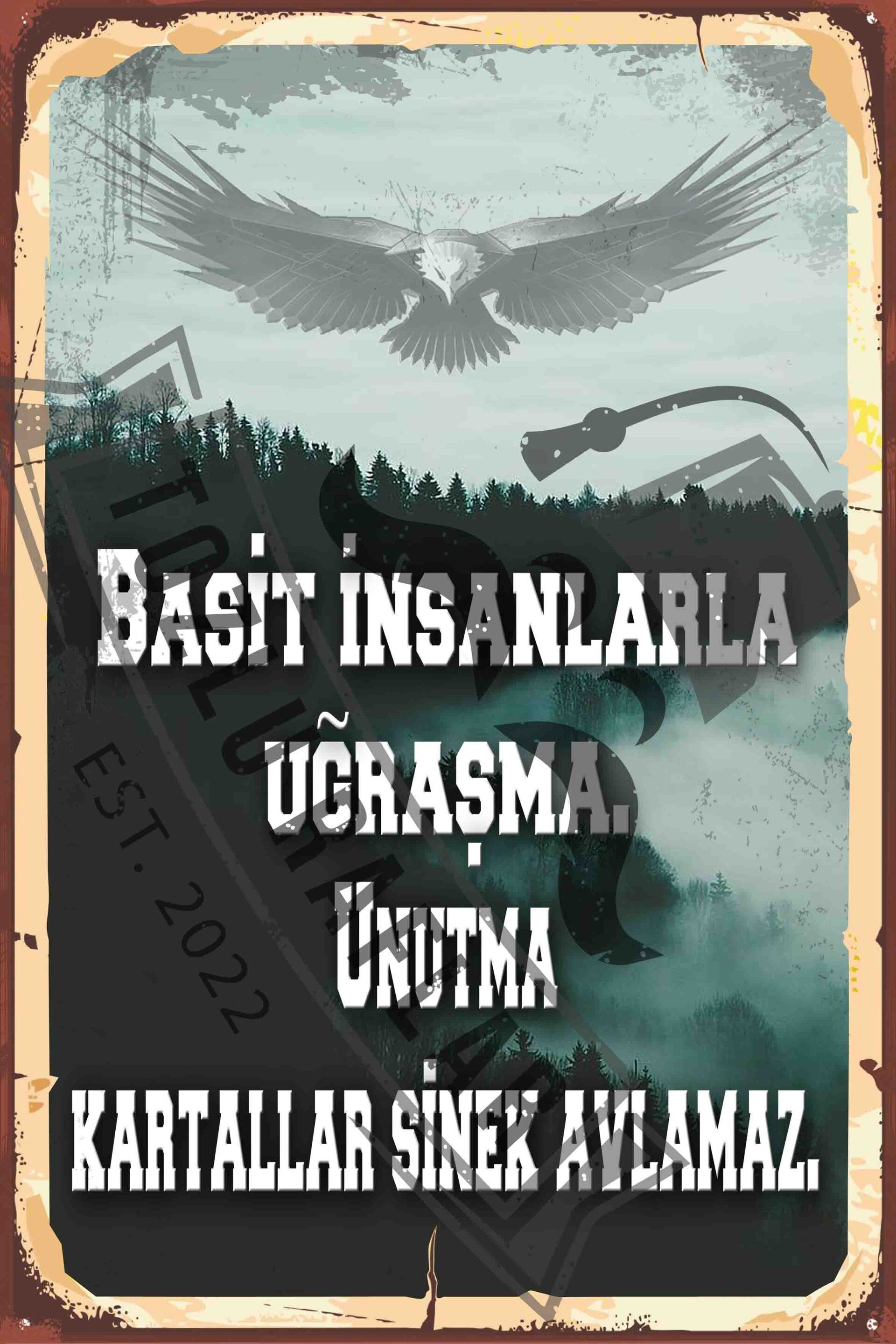 Basit insanlarla ugrasma, unutma kartallar sinek avlamaz.