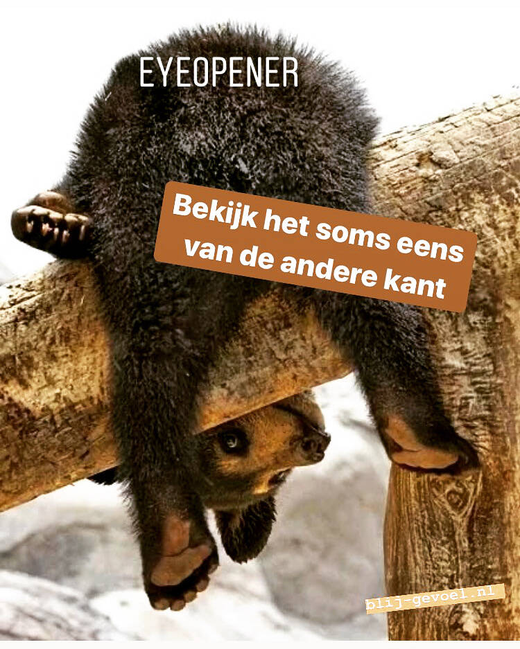 beer, ondersteboven, andere kant bekijken