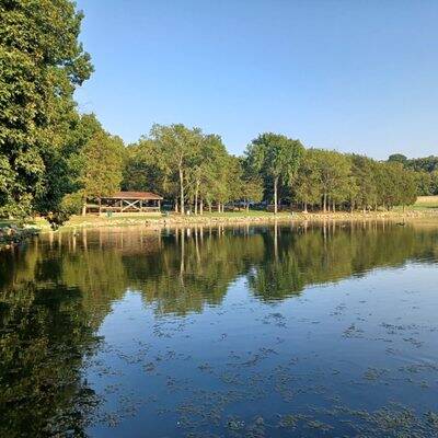 Picture of the lake at Cedar Hill Park in Madison Tennessee