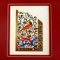faisan-1-standard-pyqay7.jpg