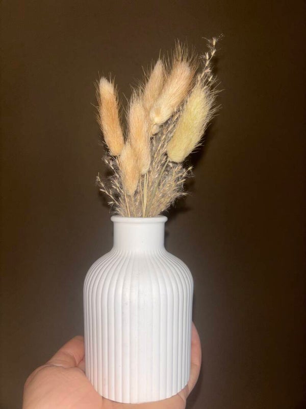 Vazen Inclusief Pluimen