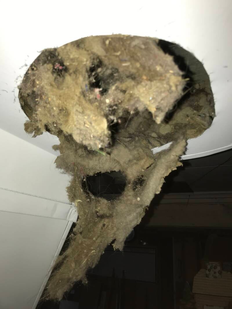 Limoge Dirty Ducts