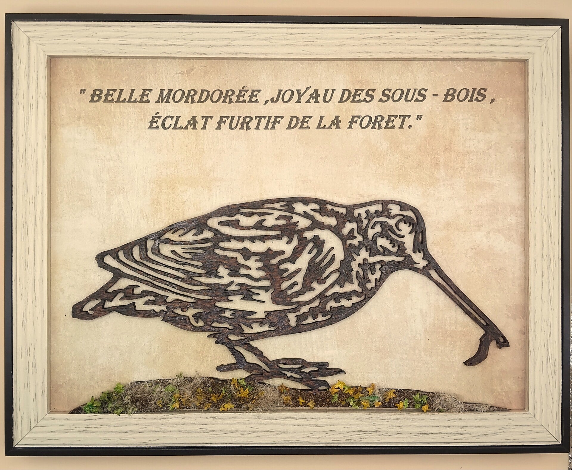 La bécasse ou Mordorée