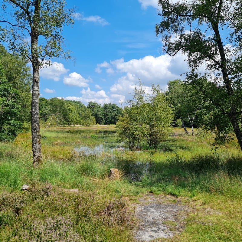 Zelfhulp en eerste stappen naar meer ontspanning in het ouderschap