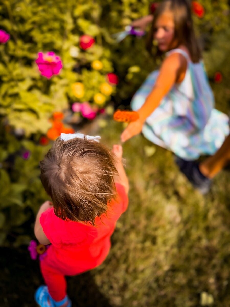 Kids exploring rows of flowers at a local farm