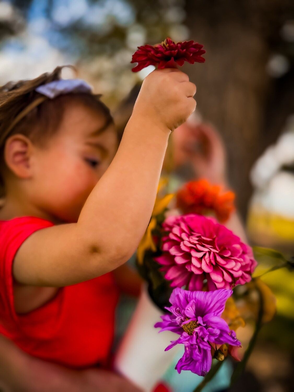 Toddler reaching up with a flower in golden light
