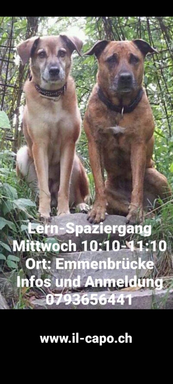 Lern-Spaziergänge Emmenbrücke