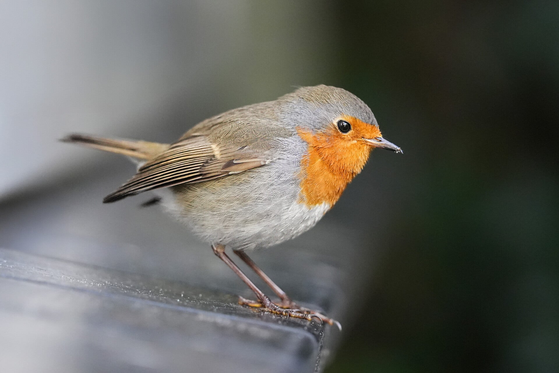 Fotografie Cursus in Zeeland