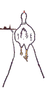 Kipjes on tour ........................................ Boek een lezing van Xavier Kipjes, inclusief enkele gratis adempauzes