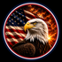 International Junk Remover