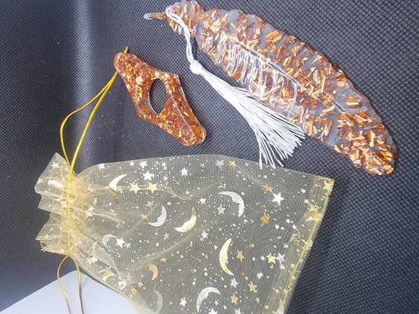 Pochette de lecture