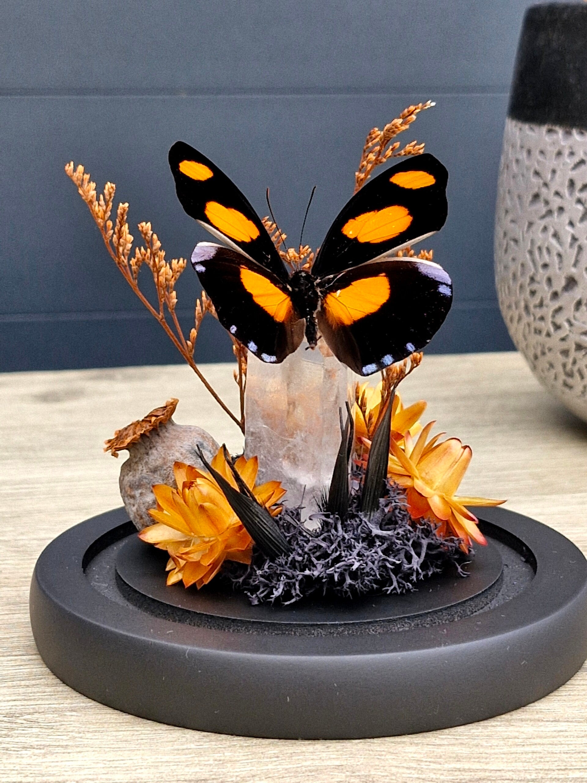 Catonephele numillia