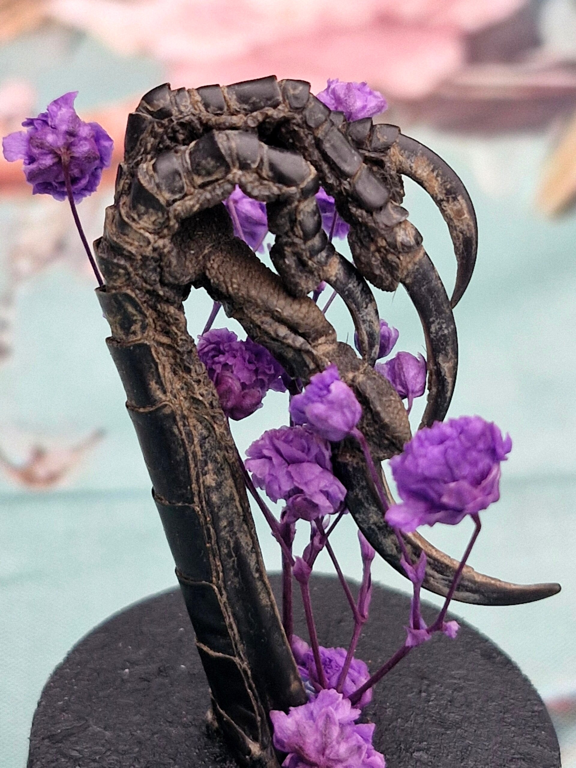 Kraaienpoot