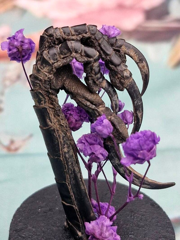 Kraaienpoot