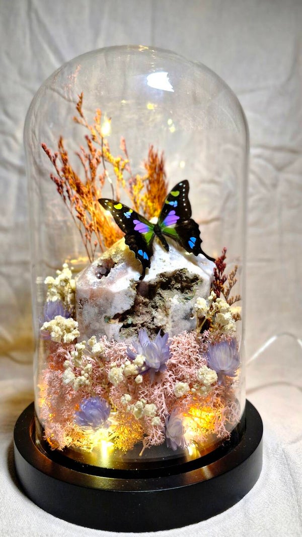 Graphium weiskei