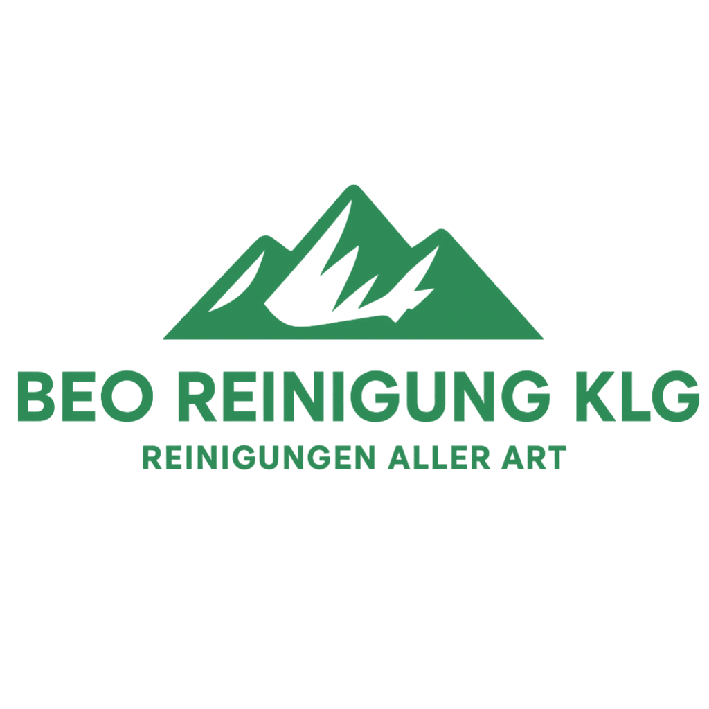 Reinigungsfirma Thun