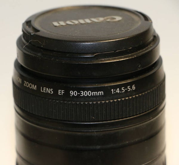CANON ZOOM LENS EF 4.5-5.6/90-300mm MACRO à 1.50 m