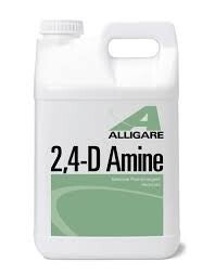 24d amine