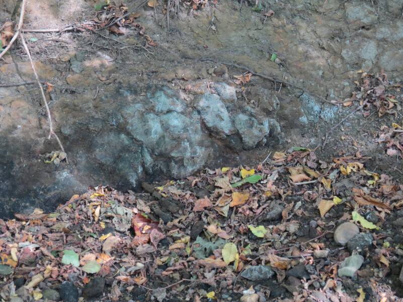 Close-up foto van Krijt-Albien of Aptien ontsluiting in de Boven Slinge bij de Bekeringsweg.